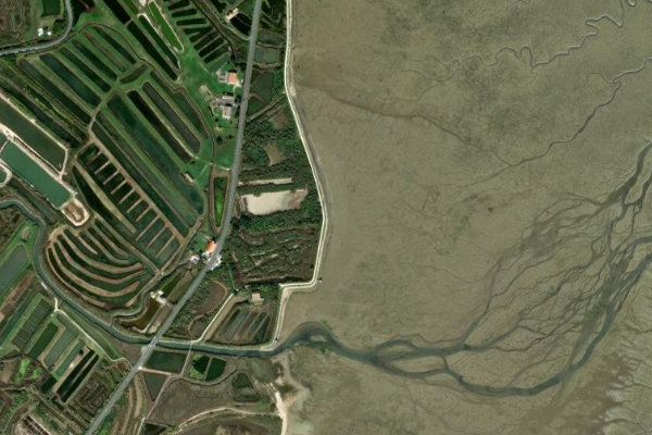 Satellitenbild der Umgebung von La Pointe Blanche