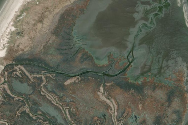 Satellitenbild der Umgebung von Trischen