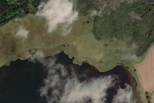 Satellitenbild der Umgebung von Freesen