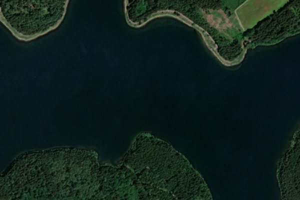Satellitenbild der Umgebung von Talsperre Saidenbach