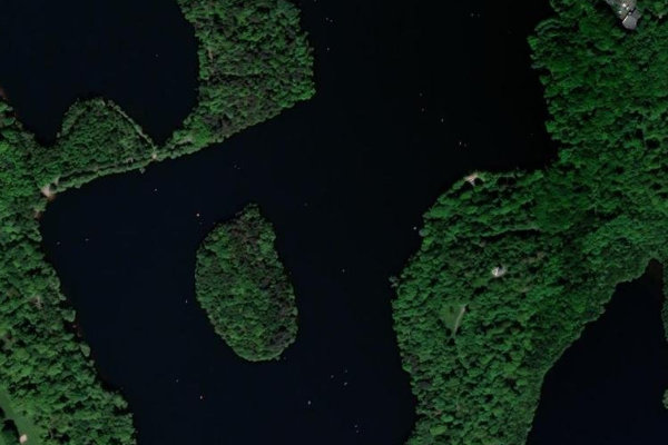 Satellitenbild der Umgebung von Wolfssee/Wildförstersee