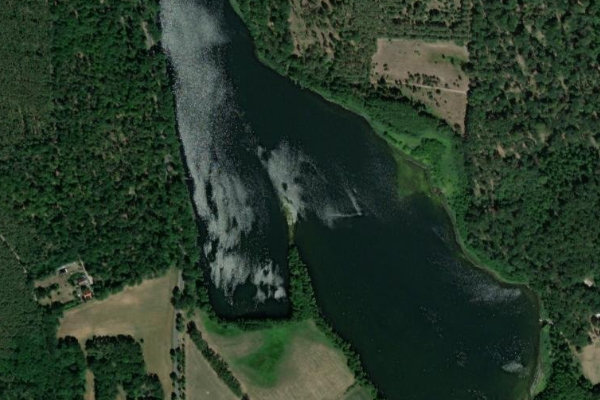 Satellitenbild der Umgebung von Gohlitzsee (Lehnin)