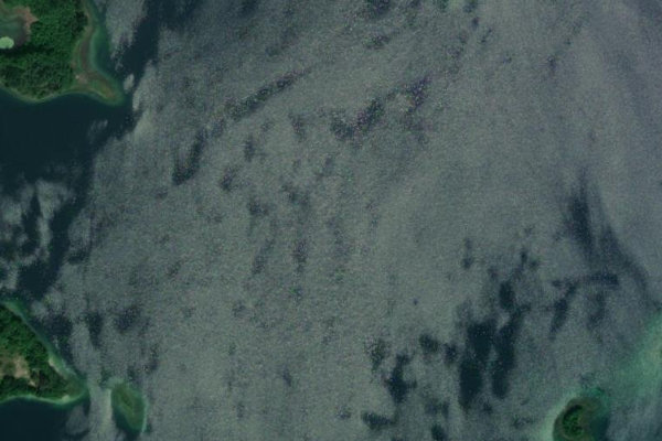 Satellitenbild der Umgebung von Carwitzer See
