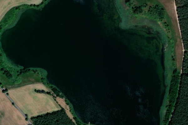 Satellitenbild der Umgebung von Lohmer See