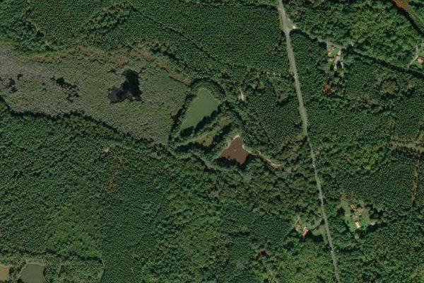 Satellitenbild der Umgebung von Etangs de la Barreyre