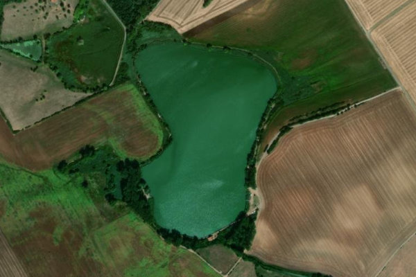Satellitenbild der Umgebung von Étang du Moulin (Vergaville)