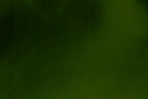 Satellitenbild der Umgebung von Haringvliet