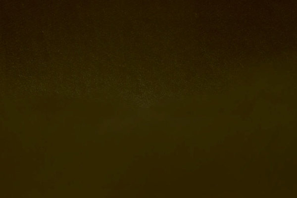 Satellitenbild der Umgebung von Tjeukemeer