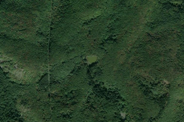 Satellitenbild der Umgebung von Boyansko ezero