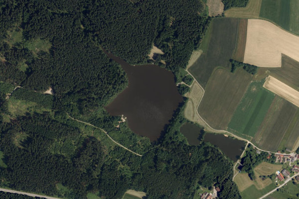 Satellitenbild der Umgebung von Carp Stone Lake