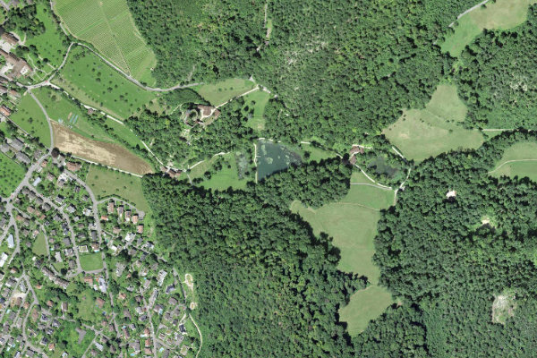 Satellitenbild der Umgebung von Oelisee (Arlesheim)