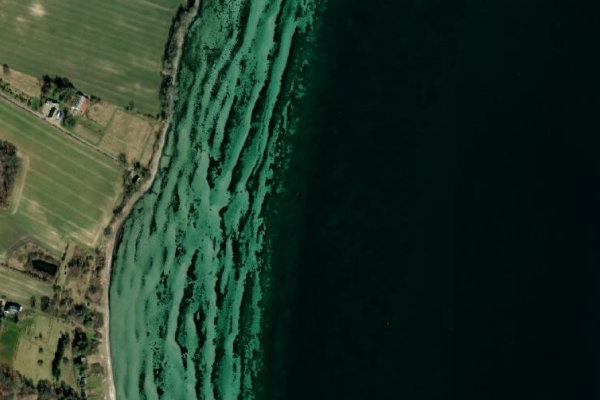 Satellitenbild der Umgebung von Elsehoved Strand