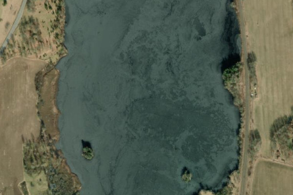 Satellitenbild der Umgebung von Dansjön