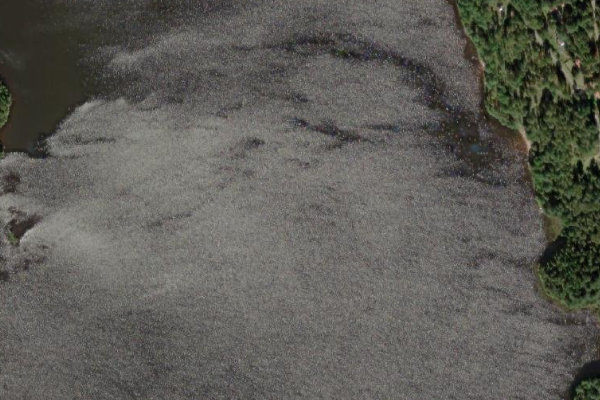 Satellitenbild der Umgebung von Viren (Tingsryd)