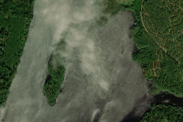 Satellitenbild der Umgebung von Vesslarpssjön