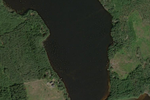 Satellitenbild der Umgebung von Lennusjärvi