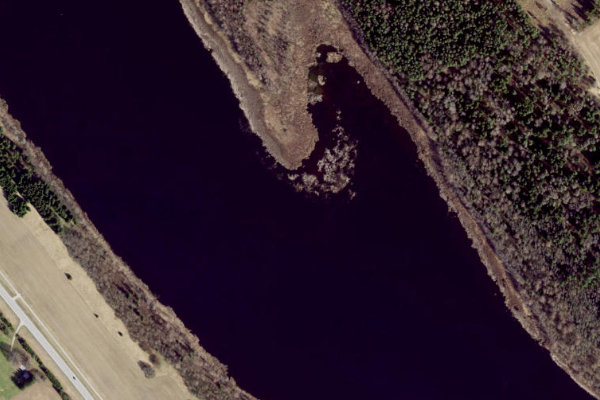 Satellitenbild der Umgebung von Pikkjärv