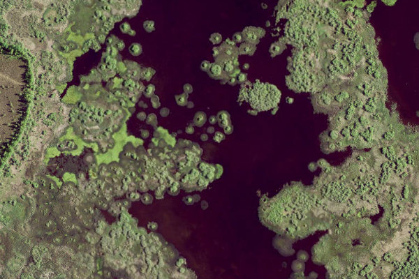 Satellitenbild der Umgebung von Koigi järv