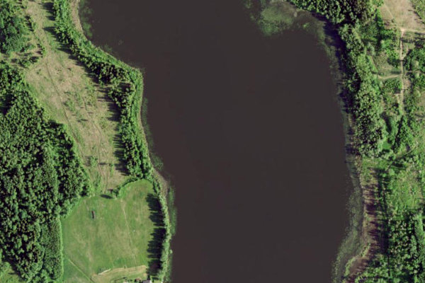 Satellitenbild der Umgebung von Mäeküla järv