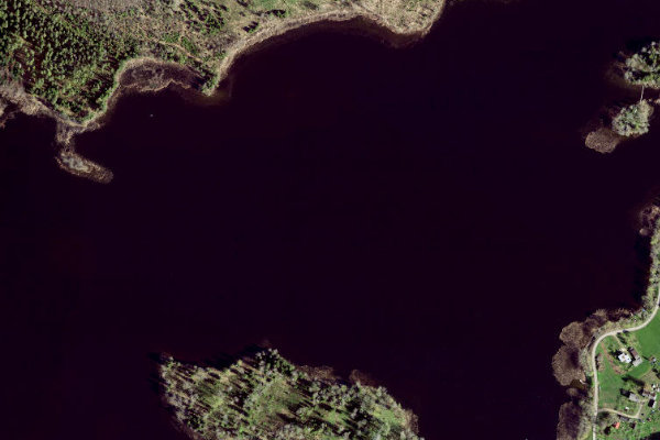 Satellitenbild der Umgebung von Valgjärv