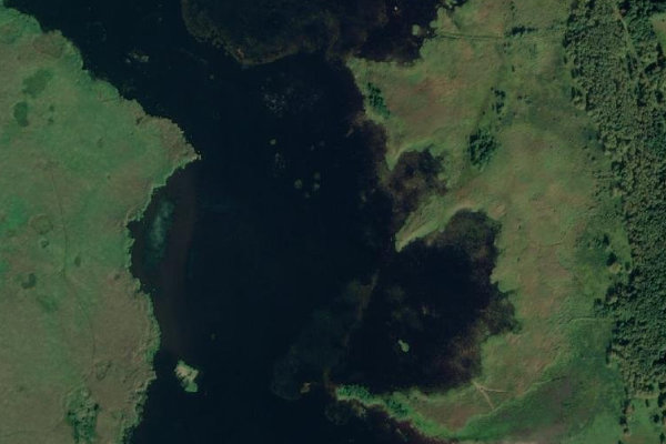 Satellitenbild der Umgebung von Papes ezers