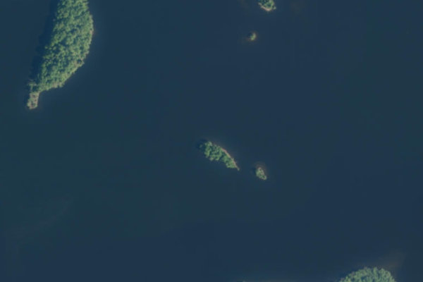 Satellitenbild der Umgebung von Eša ezers