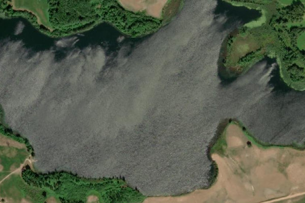 Satellitenbild der Umgebung von Osvas ezers