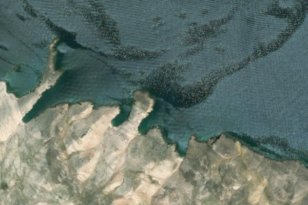 Δορυφορική εικόνα της περιοχής γύρω από Ribarica