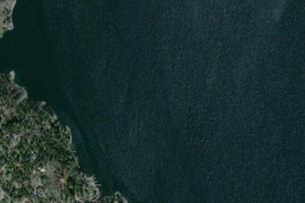 Δορυφορική εικόνα της περιοχής γύρω από Borgviken