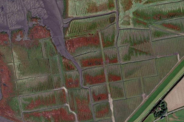 Satellite image of the area around Brösumsiel