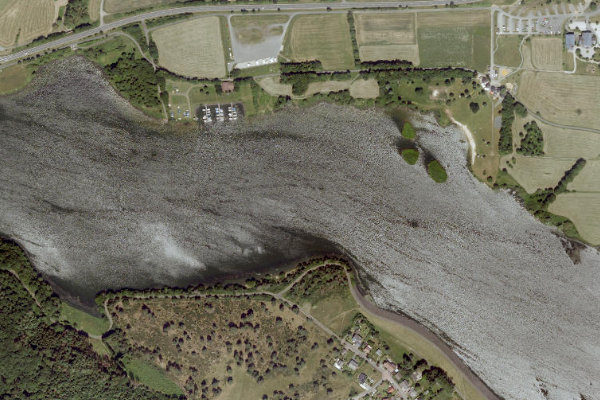 Satellite image of the area around Aartalsee
