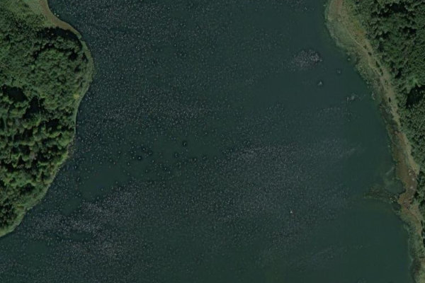 Satellite image of the area around Kleinpritzer See