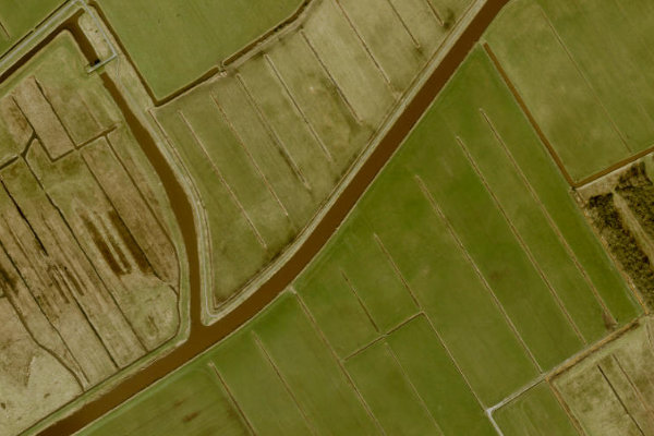 Satellite image of the area around Tjonger middenloop (Nijeholtpade)