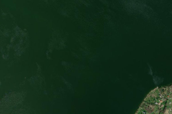 Satellite image of the area around Jesenice – údolní nádrž (Cheb)