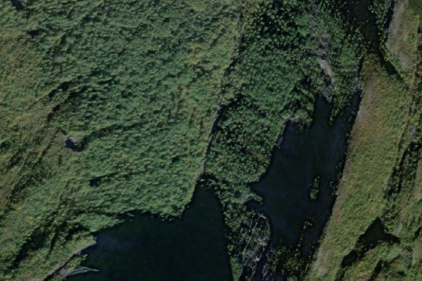 Satellite image of the area around Vikja