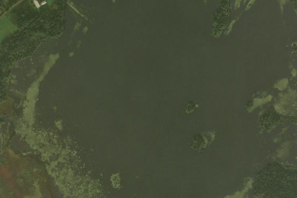 Satellite image of the area around Rogbergasjön