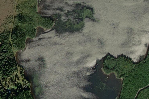 Satellite image of the area around Stora Sävsjö