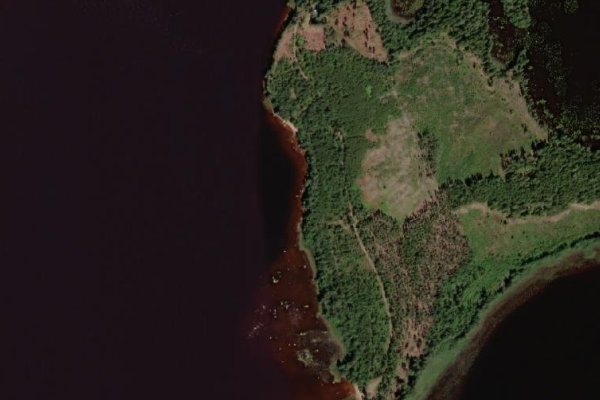 Satellite image of the area around Femlingen
