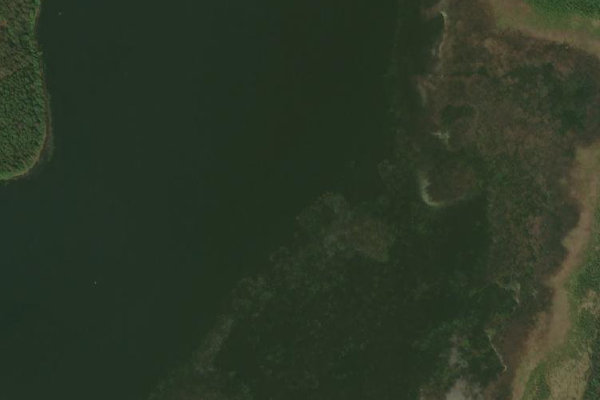 Satellite image of the area around Kalnis