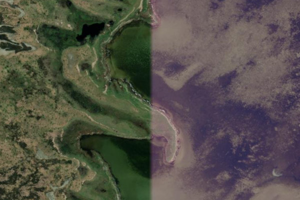 Imagen de satélite del entorno de Gänsewerder
