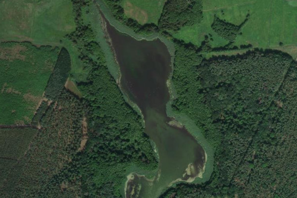 Imagen de satélite del entorno de Dammer Teich