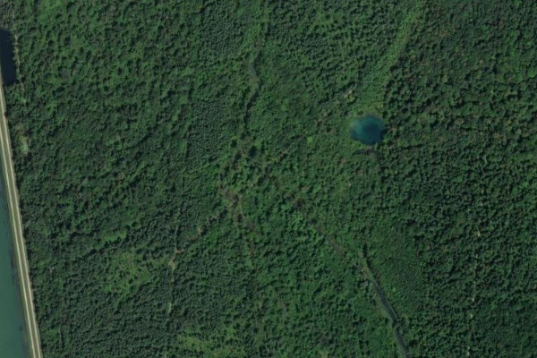 Imagen de satélite del entorno de Waldschlut (Breisach)