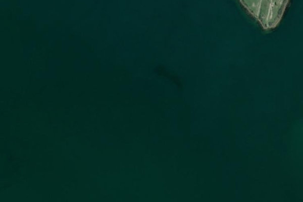 Imagen de satélite del entorno de Großer Goitzschesee