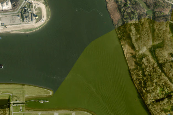 Imagen de satélite del entorno de Oude Maas (Rotterdam)