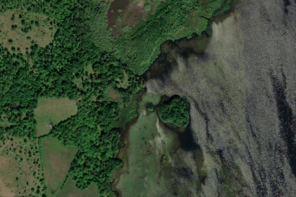Imagen de satélite del entorno de Hornsjön