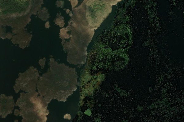 Imagen de satélite del entorno de Endla järv