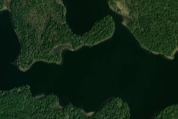 Imagen de satélite del entorno de Platelių ež.