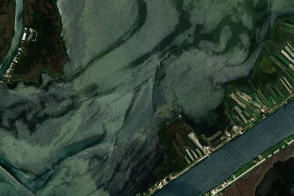Image satellite des environs de Pržinovac