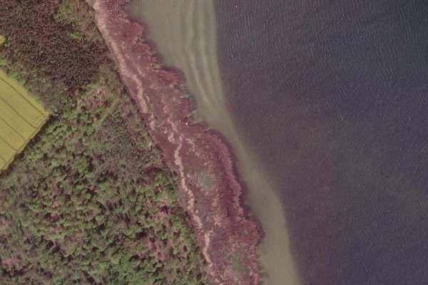 Image satellite des environs de Brooker Holz