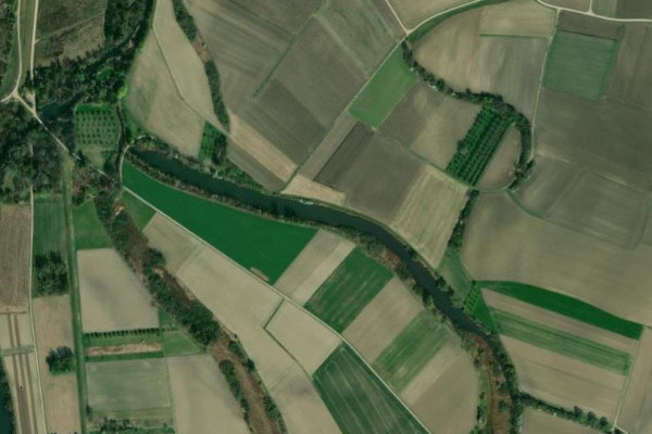 Image satellite des environs de Riedwasser (Ichenheim)